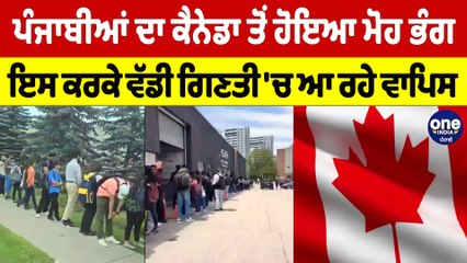 ਪੰਜਾਬੀਆਂ ਦਾ Canada ਤੋਂ ਹੋਇਆ ਮੋਹ ਭੰਗ, ਇਸ ਕਰਕੇ ਵੱਡੀ ਗਿਣਤੀ 'ਚ  ਆ ਰਹੇ ਵਾਪਿਸ |OneIndia Punjabi