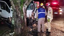 Motorista fica preso às ferragens após bater Ducato contra árvore