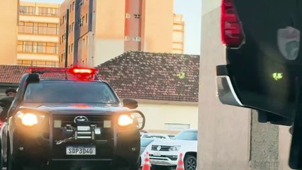 “Operação Mutley”: PM mira quadrilha que aliciava caminhoneiros para o tráfico de drogas