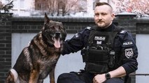 La meritata pensione di Kazik, il cane poliziotto che ha ottenuto tanti successi