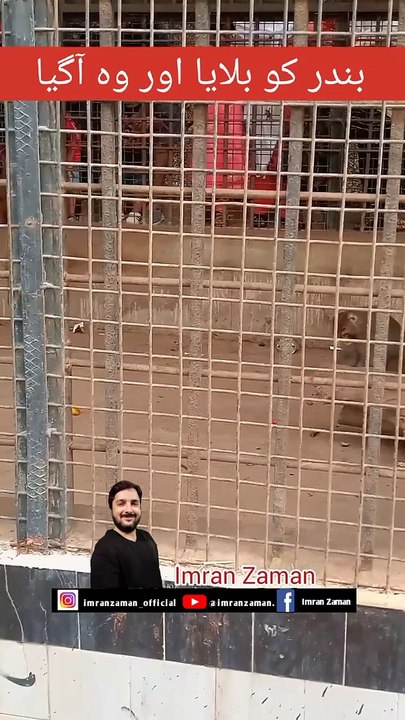 Called The Monkey And He Came 