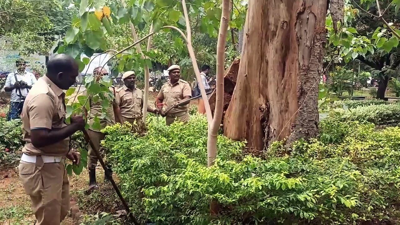 திண்டுக்கல் ஆட்சியர் அலுவலகத்தில் போக்கு காட்டிய பாம்பை லாவகமாக பிடித்த தீயணைப்பு வீரர்கள்