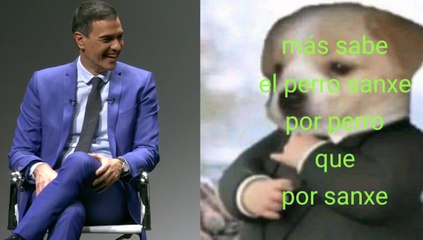 Sánchez: "Cuando vi un meme que decía "más vale el Perro Sanxe por 'perro' que por 'sanxe" y me pareció brillante"