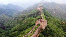 The Great Wall of China Is Wearing an Erosion Shield Made of Wild Organisms