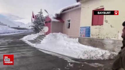 Karayolu üzerine terk edilen başıboş köpekler tehlike saçıyor