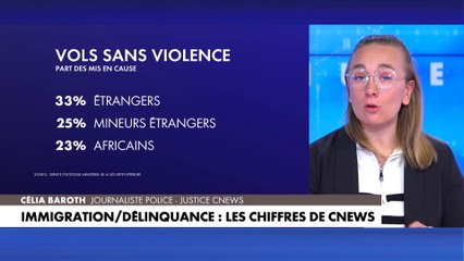 Immigration/Délinquance : les chiffres