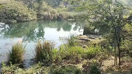 Sariska Sanctuary