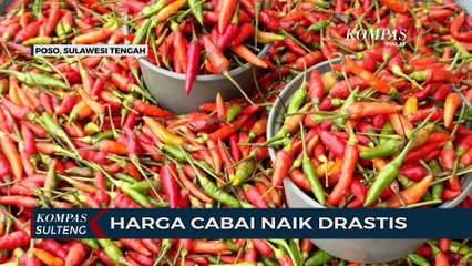 Harga Cabai Naik Drastis