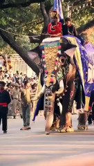 गोली लगने से नहीं हुई हाथी अर्जुन की मौत