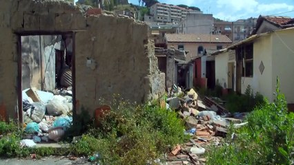 Rtp Telegiornale 11 dicembre 2023