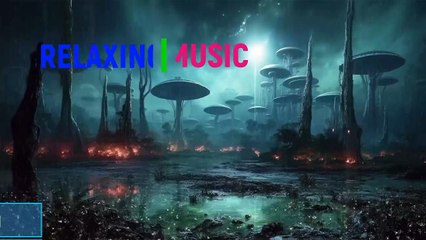 Stive Morgan - Dreamstation