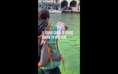 Italie : le Grand Canal de Venise coloré en vert fluo