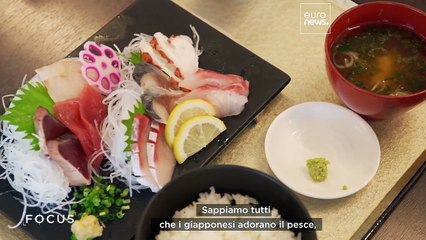 Dopo lo tsunami: le comuntà di pescatori del Giappone guardano al futuro con ottimismo