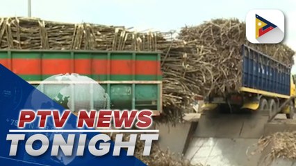 Farmgate price of sugar continues to drop