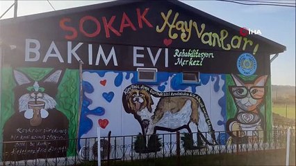 Köpeği sopayla dövdü, gerekçesi ise pes dedirtti