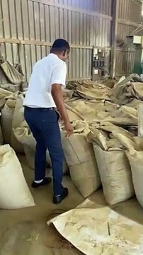 Video.... ऊंझा: नकली जीरा बनाने की फैक्ट्री का पर्दाफाश, 30 रुपए में तैयार हो रहा था एक किलो जीरा