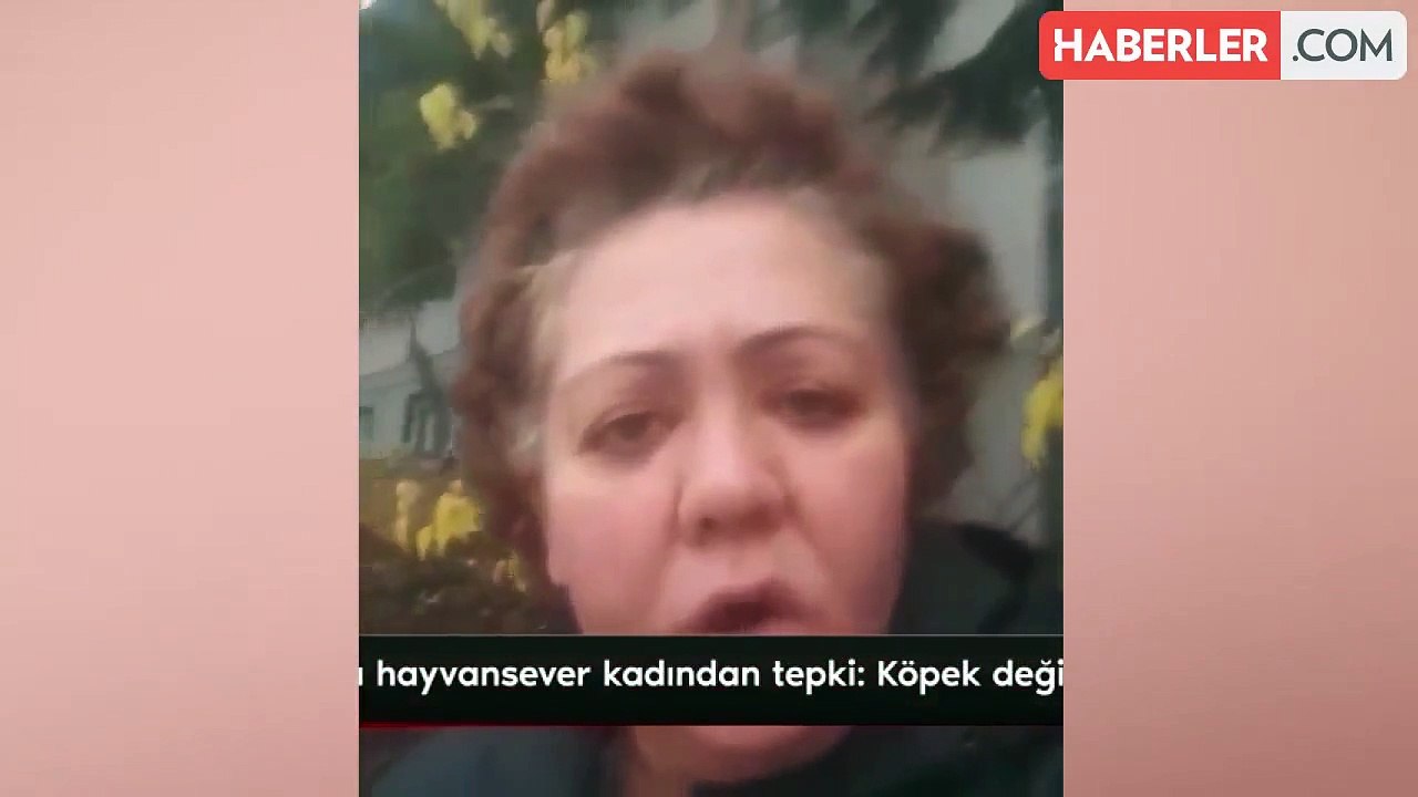 Sokak köpeklerini değil, parçaladıkları Tunahan'da kabahat buldu: Köpekler dışında herkes suçlu
