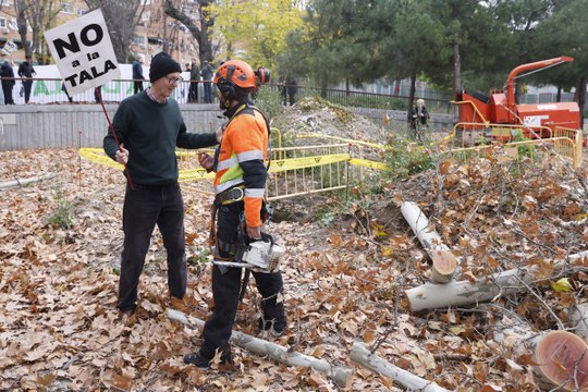 Es una salvajada ilegal : vecinos de Madrid se plantan contra la tala masiva de árboles de Ayuso y Almeida