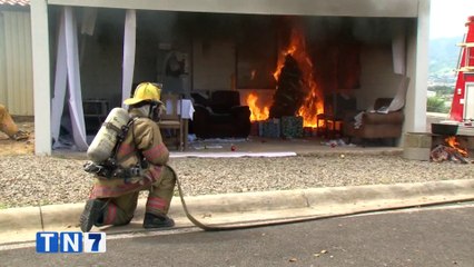 tn7-incidentes-reportados-por-bomberos-en-diciembre-111223