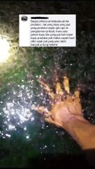 "MANA ADA PETANI KAYA" apa kalian masih mau jadi petani❓