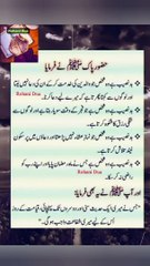 hazoor saw nay farmaya badnaseeb hai wo shaks