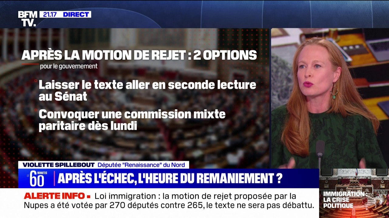 Rejet de la loi immigration: "Il faut digérer une défaite", pour Violette Spillebout (Renaissance)