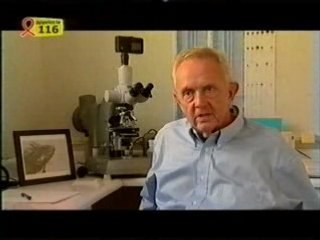Les origines du sida (02)
