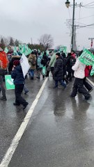 Le Soleil de Châteauguay  VIDÉO - Un village de Noël… aux allures