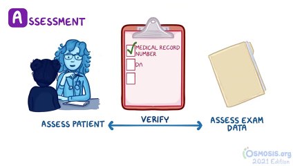 Reading A Chest X Ray