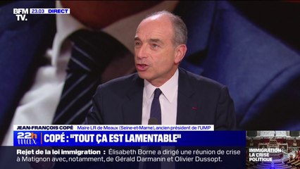 Rejet de la loi immigration: "Tout ça est juste lamentable", pour Jean-François Copé (LR)
