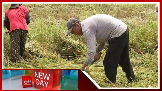 Rewind 2023: Food shortages, rising prices, importation woes among agri challenges this year