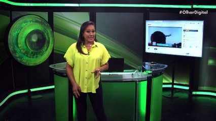 Netflix lançamentos da semana (11 a 17 de dezembro)