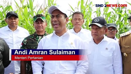 Mentan-Wamenhan Kunjungi Gunung Mas Pastikan Food Estate Berjalan Baik