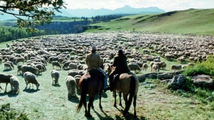 Le Secret de Brokeback Mountain Bande-annonce (EN)
