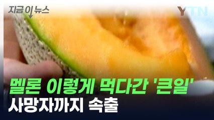 "멜론, 이렇게 먹다간 큰일"...사망자까지 나와 '심각한 양상' [지금이뉴스] / YTN