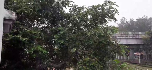 Weather Updates: चक्रवाती तूफान 'मिचौंग' ने बदल दिया मौसम, शीतलहर  और  ठंड को लेकर जारी हुआ अलर्ट