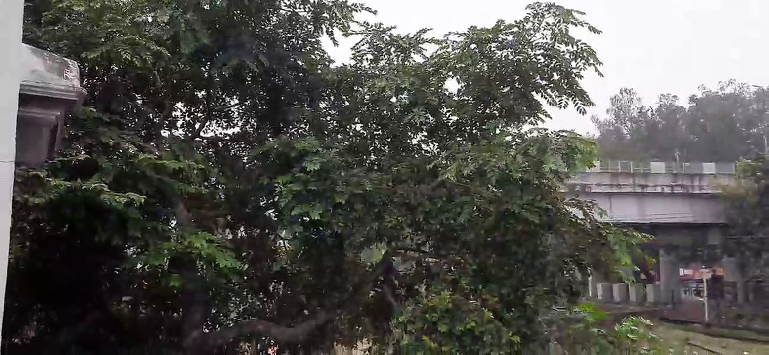 Weather Updates: चक्रवाती तूफान 'मिचौंग' ने बदल...