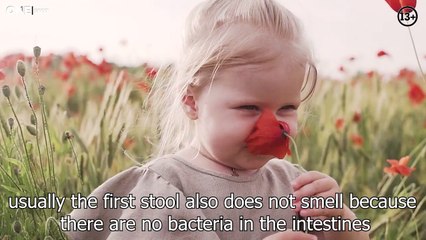 Fakta unik bayi baru lahir (UNIQUE FACTS OF NEWBORN BABIES)