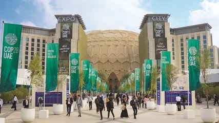 ماذا فعلتَ من أجل البيئة في عام الاستدامة؟