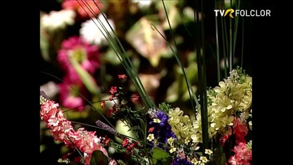 Gheorghe Rosoga - Arde inimioara-n mine (arhiva TVR)