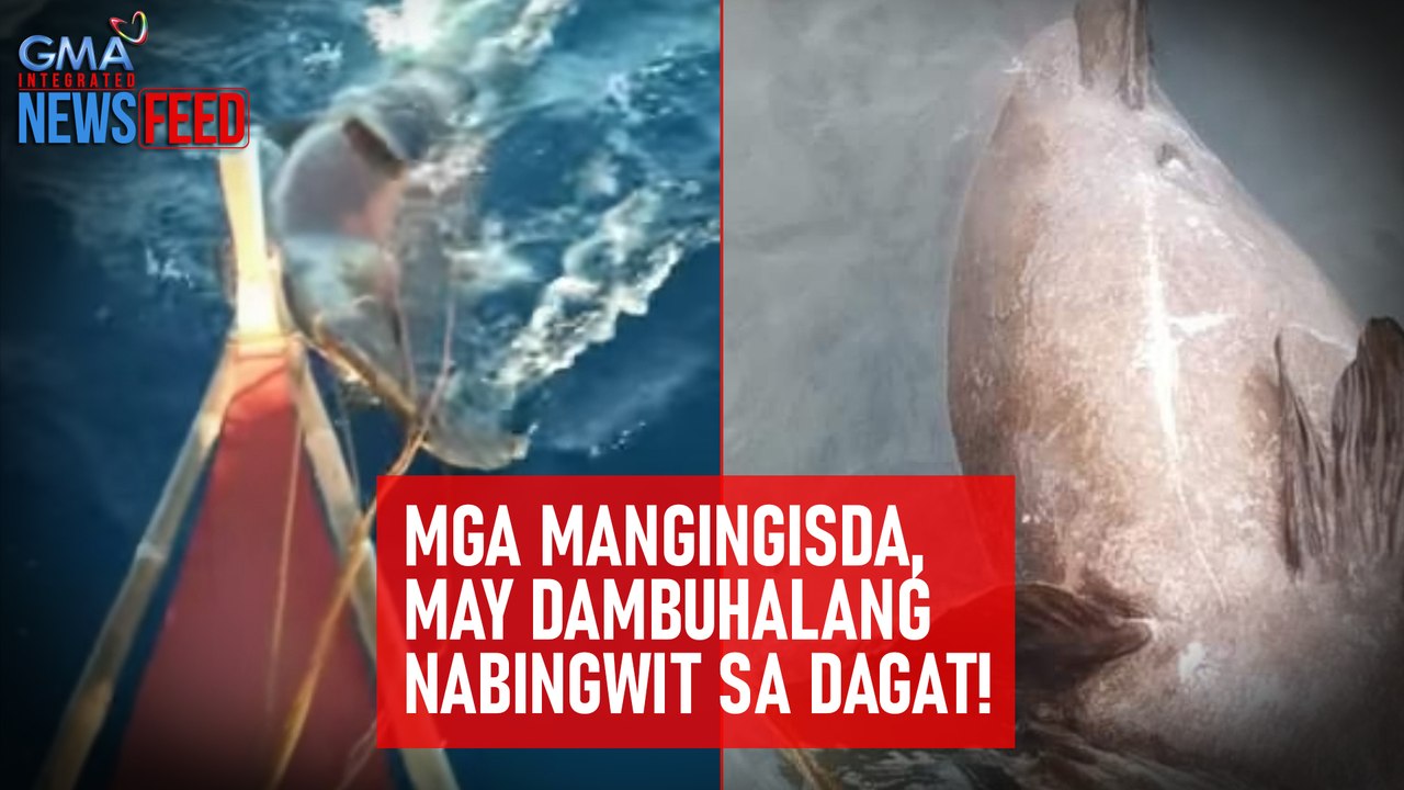 Mga mangingisda, may dambuhalang nabingwit sa dagat! | GMA Integrated Newsfeed