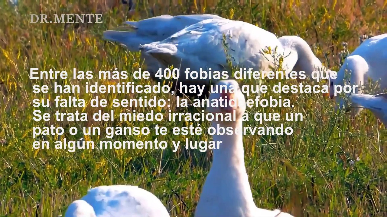 a si puedes perder el control