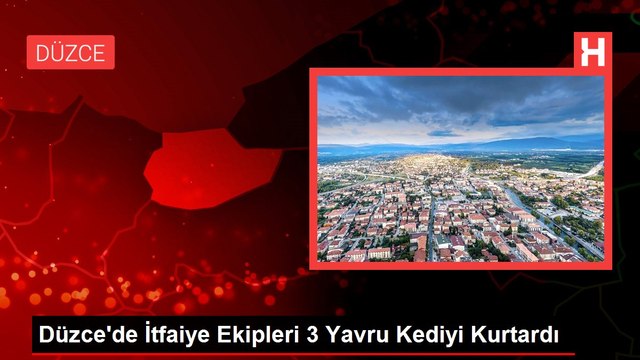 Düzce'de İtfaiye Ekipleri 3 Yavru Kediyi Kurtardı