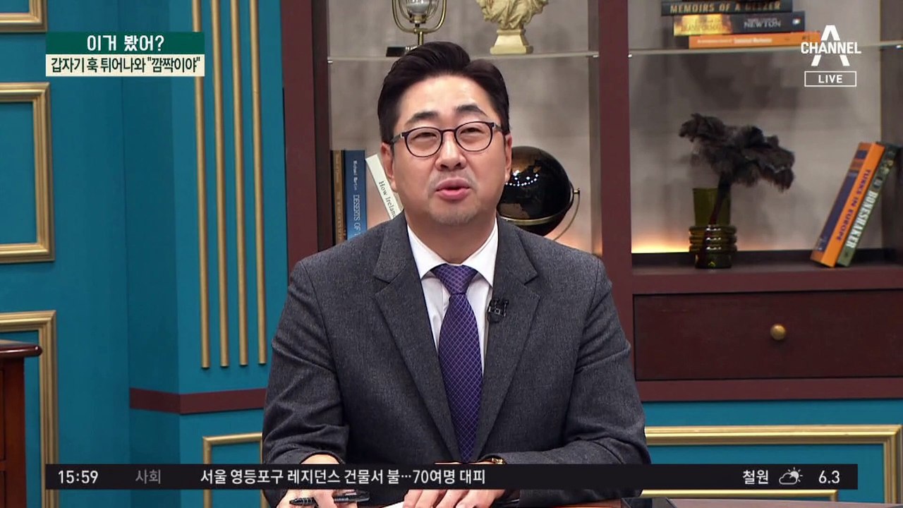 갑자기 훅 튀어나온 ‘야생 흑곰’…차도에 나타난 ‘바다코끼리’