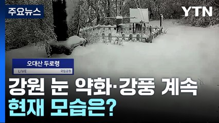 [날씨] 12월 큰 눈 내린 강원 산간...현재 모습은? / YTN