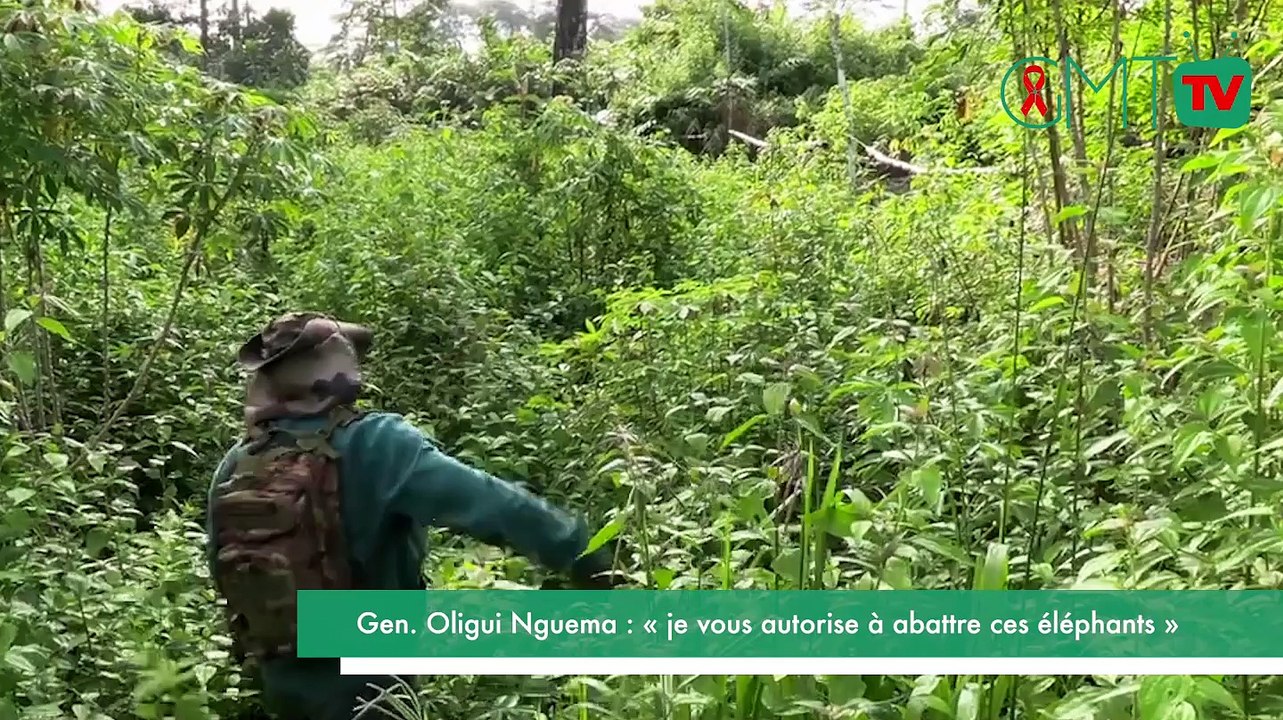 [#Reportage] Gen. Oligui Nguema : « je vous autorise à abattre ces éléphants »