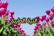 حكمة اليوم_النية الطيبة