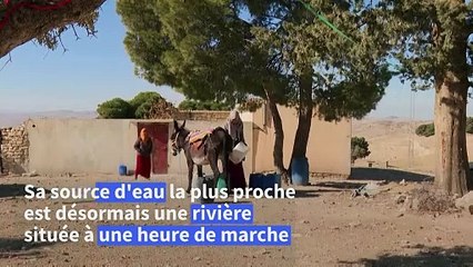 En Tunisie, un village assoiffé par le changement climatique