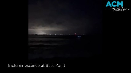 Experience the Magical Bioluminescence at Bass Point 🌊 | Illawarra Mercury, Dec 12, 2023