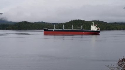 La saison des amours